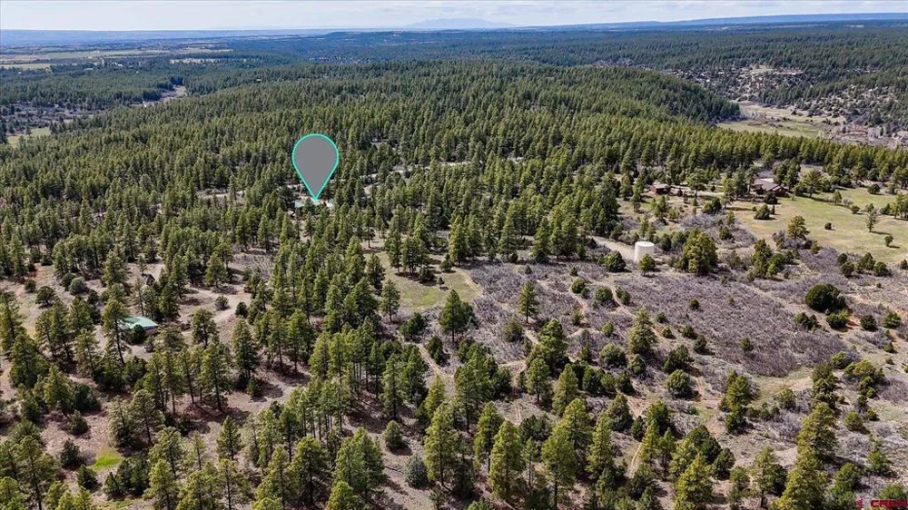 15586 Road 36.5 Mancos, CO 81328