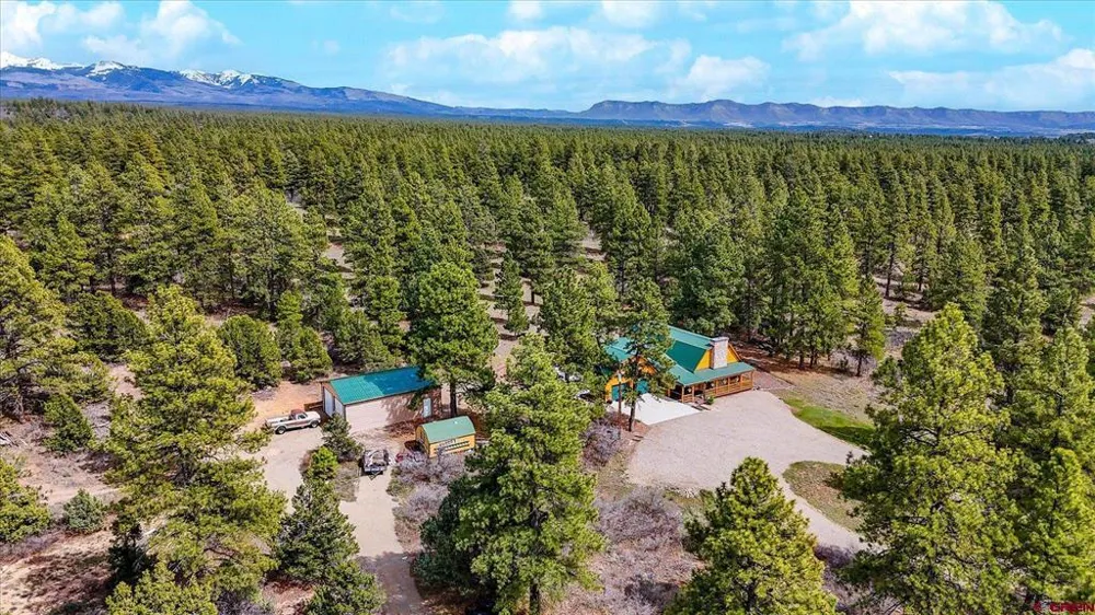 15586 Road 36.5 Mancos, CO 81328