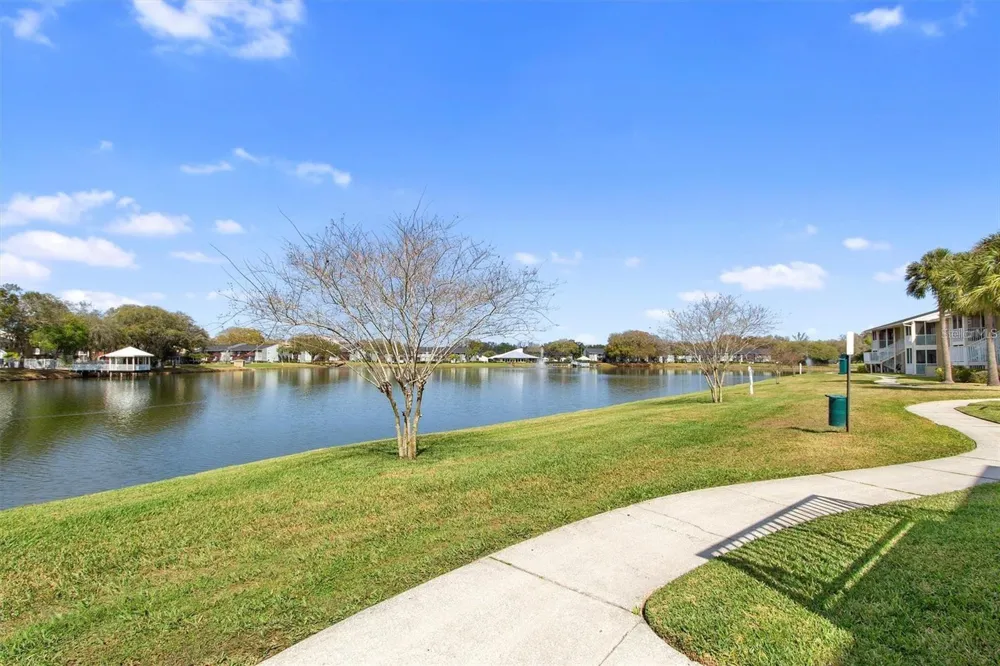 803 LAKE HAVEN SQUARE #101 Brandon, FL 33511
