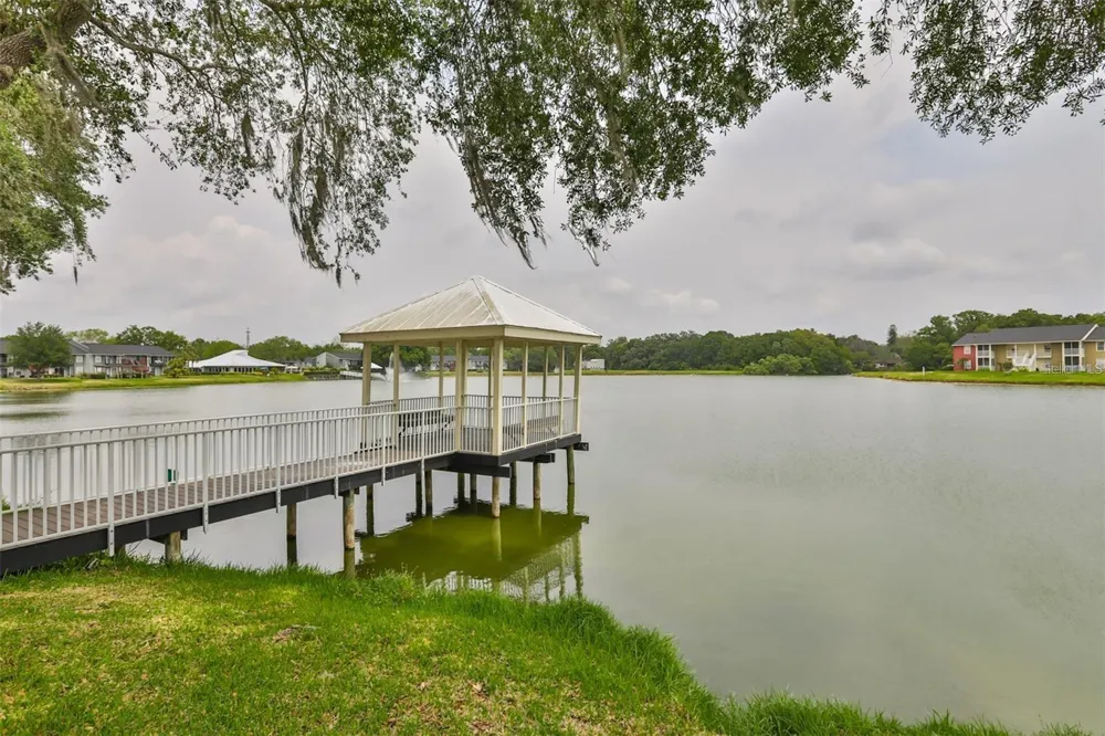 803 LAKE HAVEN SQUARE #101 Brandon, FL 33511
