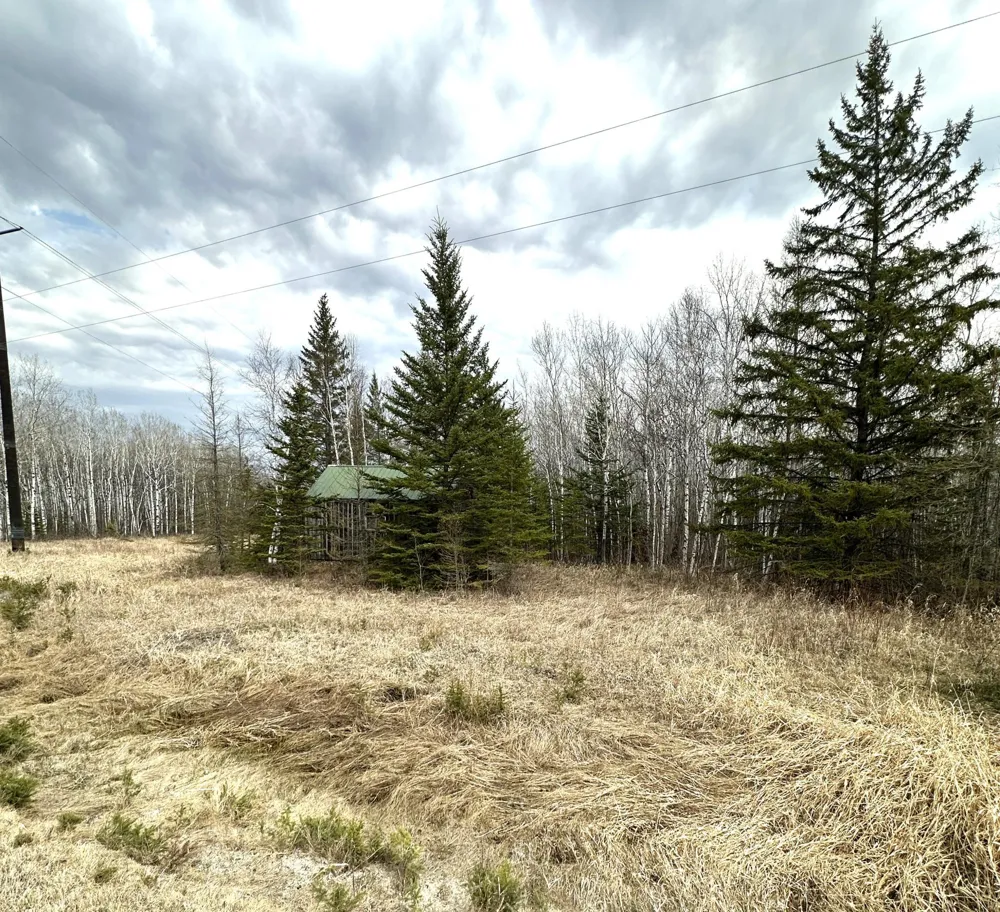 1656 78th Avenue NW Williams, MN 56686