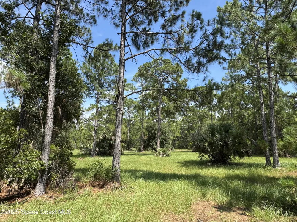 4300 Justa Road Mims, FL 32754