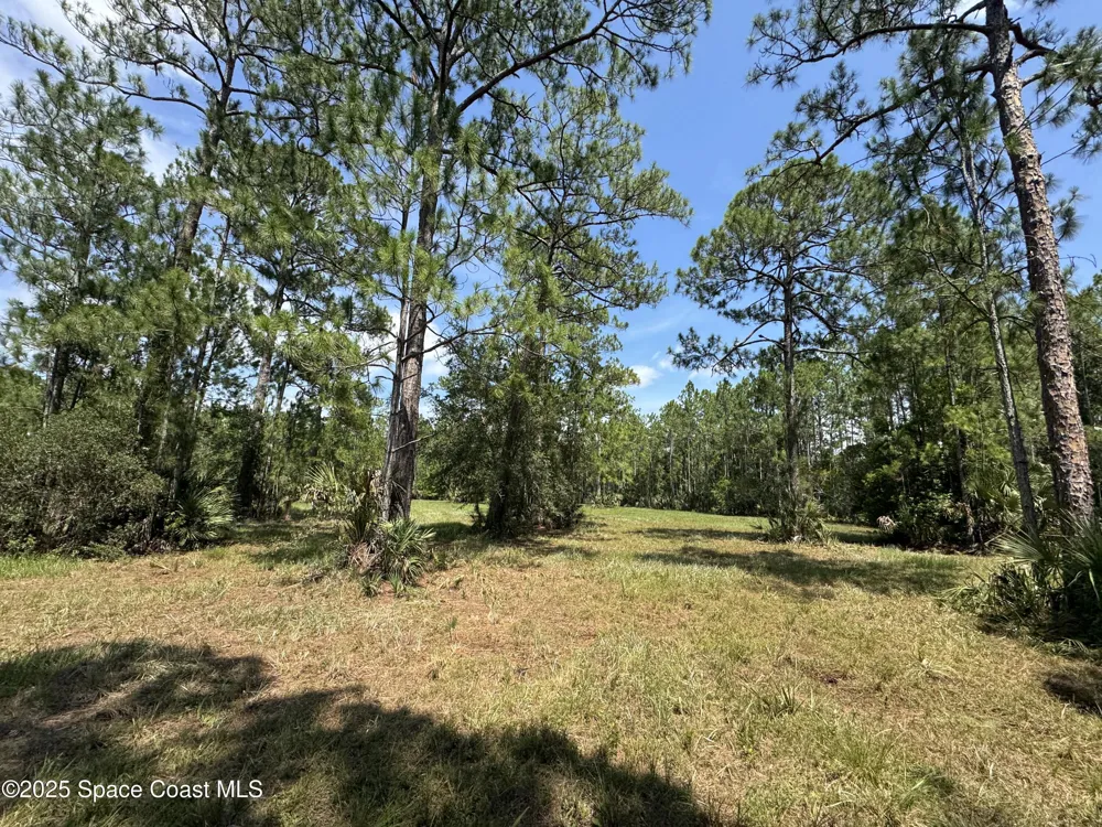 4300 Justa Road Mims, FL 32754