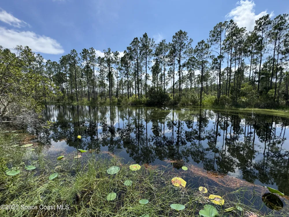 4300 Justa Road Mims, FL 32754
