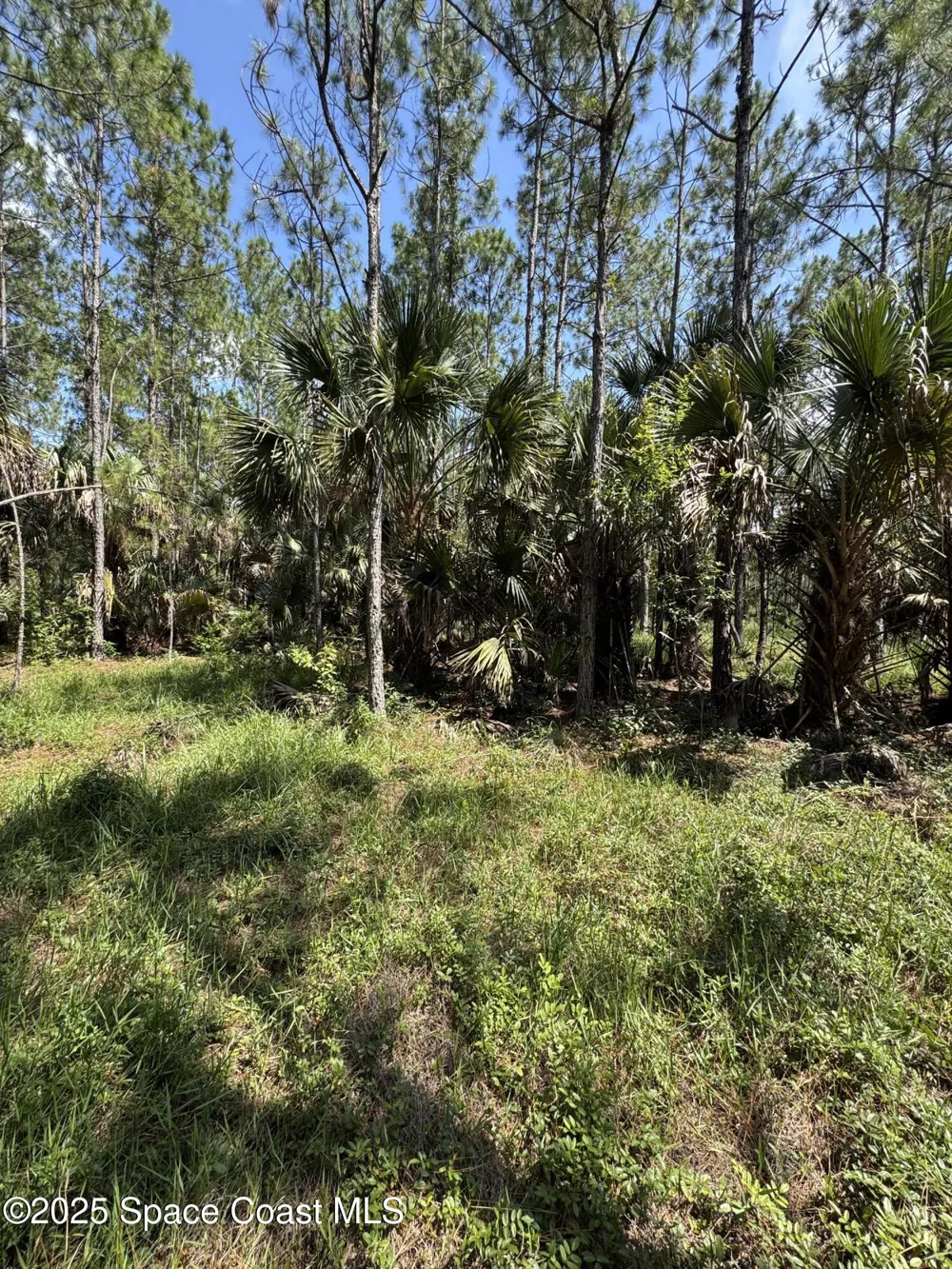 4300 Justa Road Mims, FL 32754
