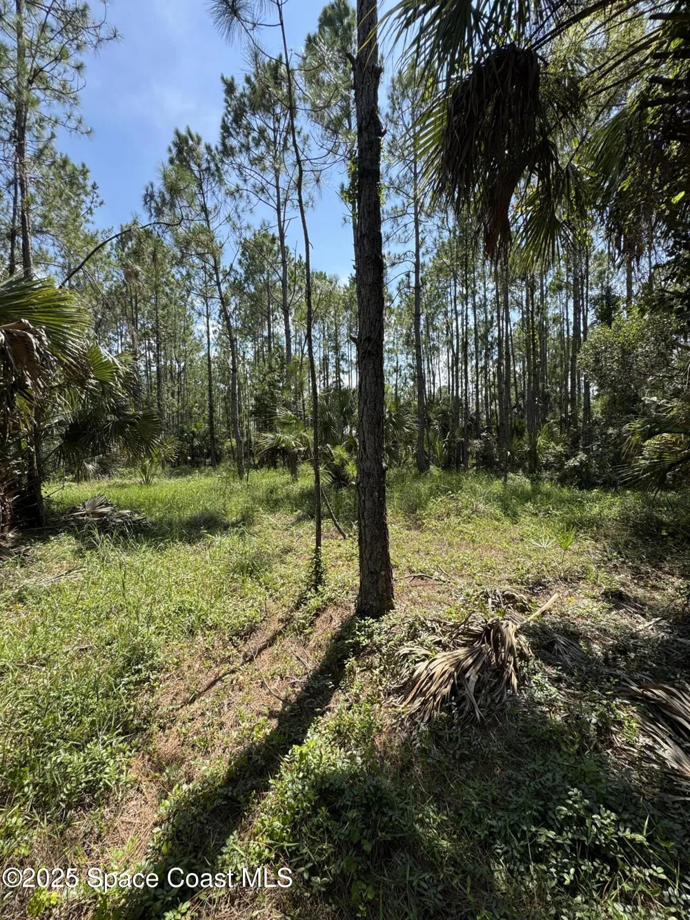 4300 Justa Road Mims, FL 32754