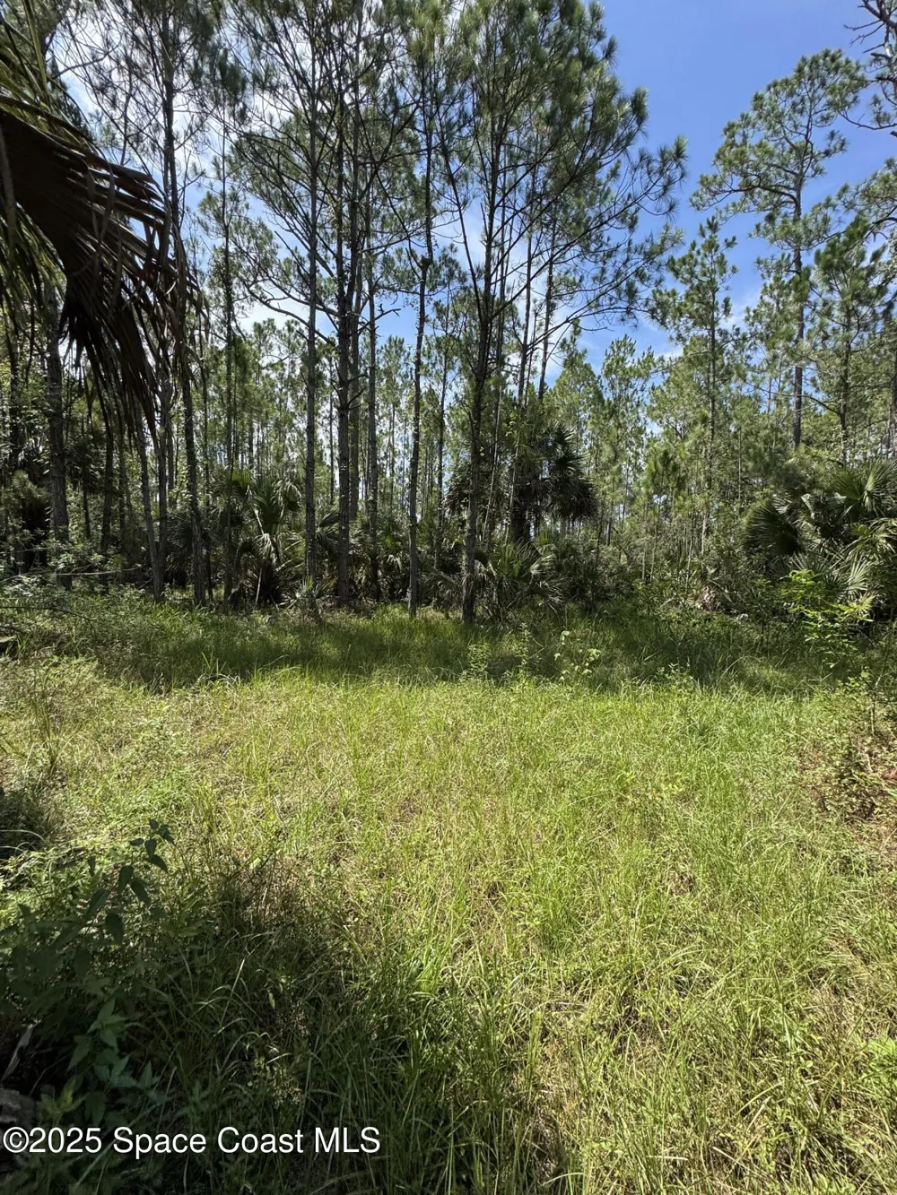 4300 Justa Road Mims, FL 32754