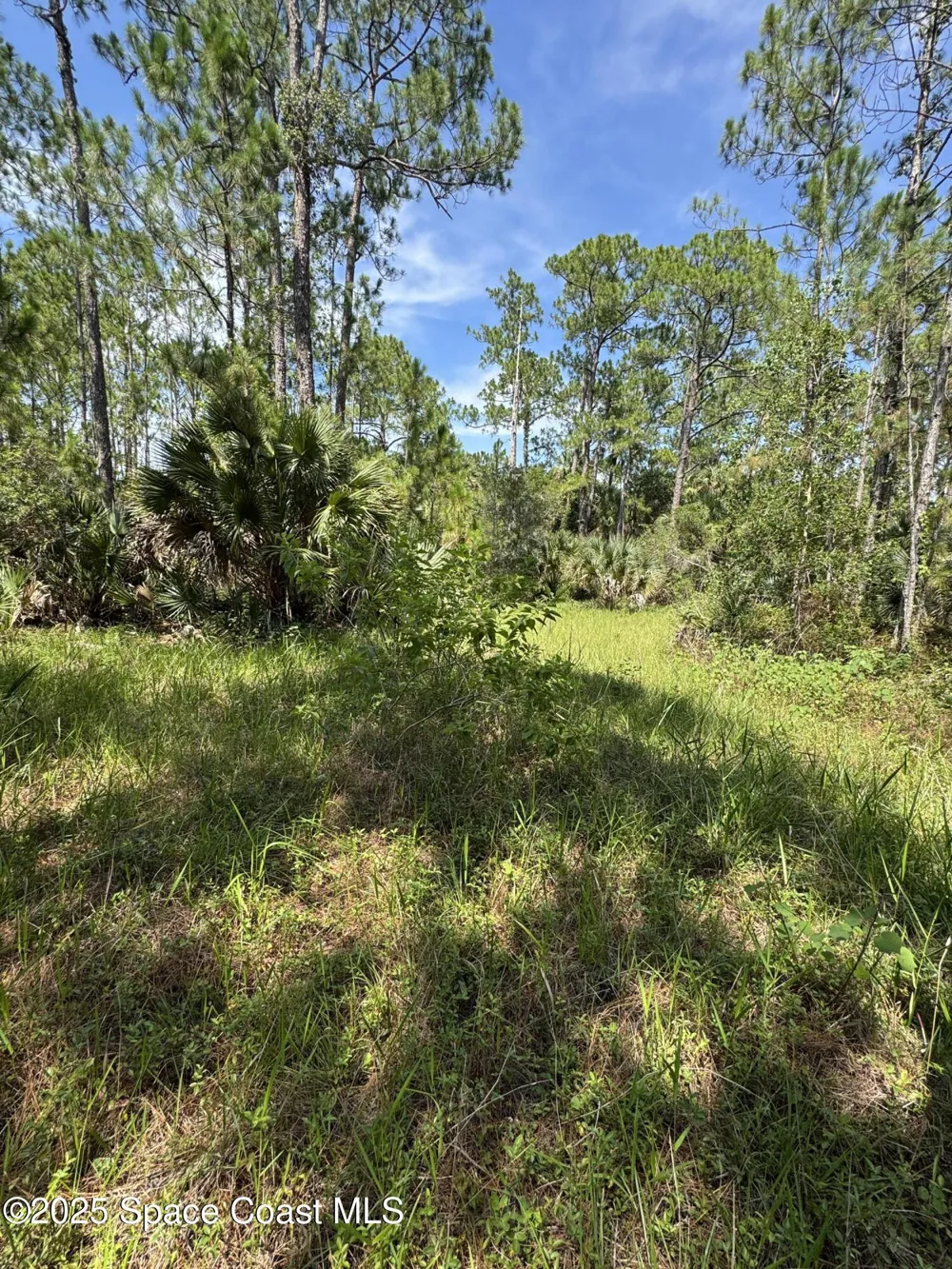 4300 Justa Road Mims, FL 32754