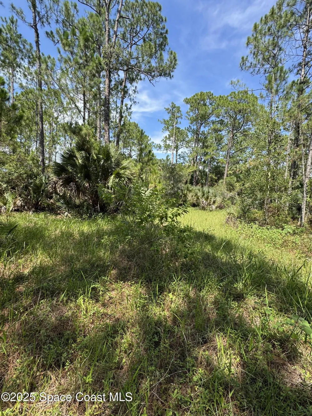 4300 Justa Road Mims, FL 32754