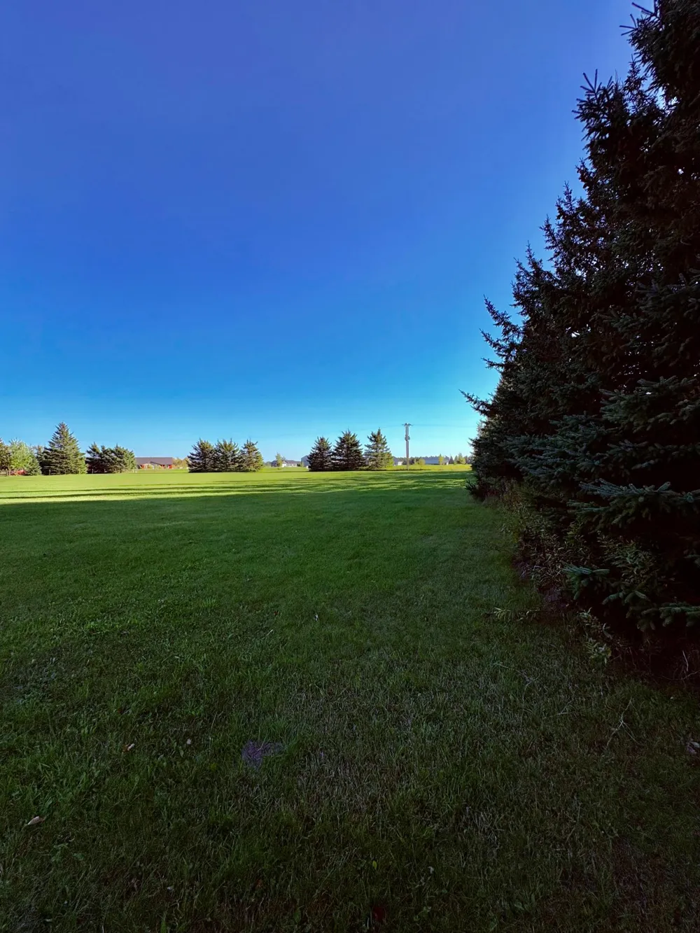 TBD 28th St NW Baudette, MN 56623