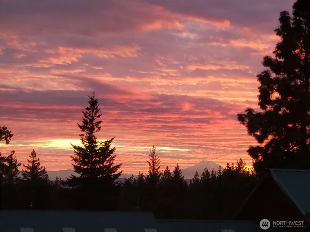 11 Deer Ridge Road Goldendale, WA 98620