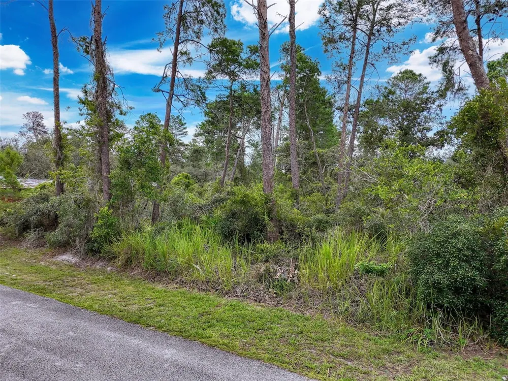 TINLEY LOTS 71, 72, & 73 New Port Richey, FL 34652