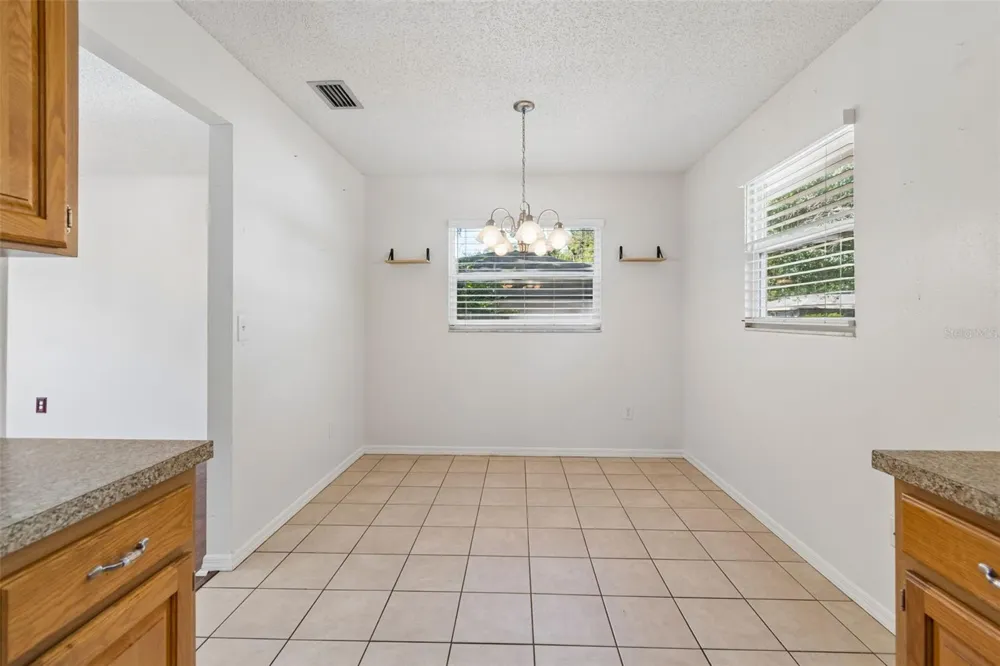 2620 GIANT PLACE Seffner, FL 33584