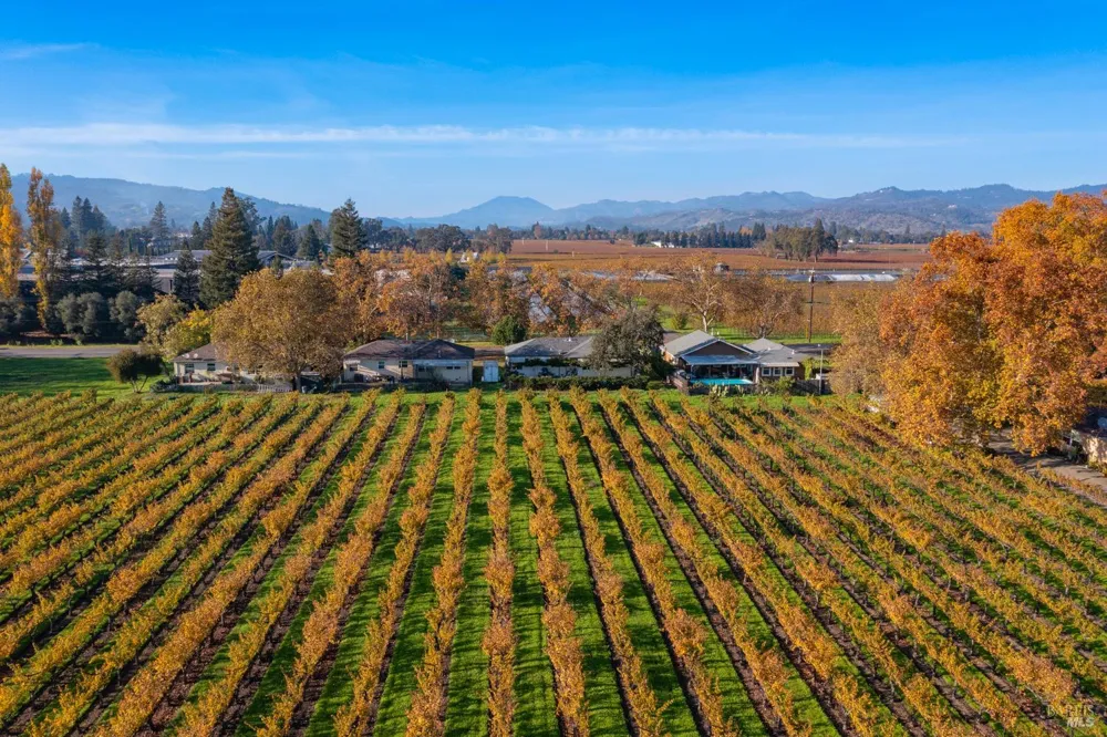 1135 Galleron Road St. Helena, CA 94574
