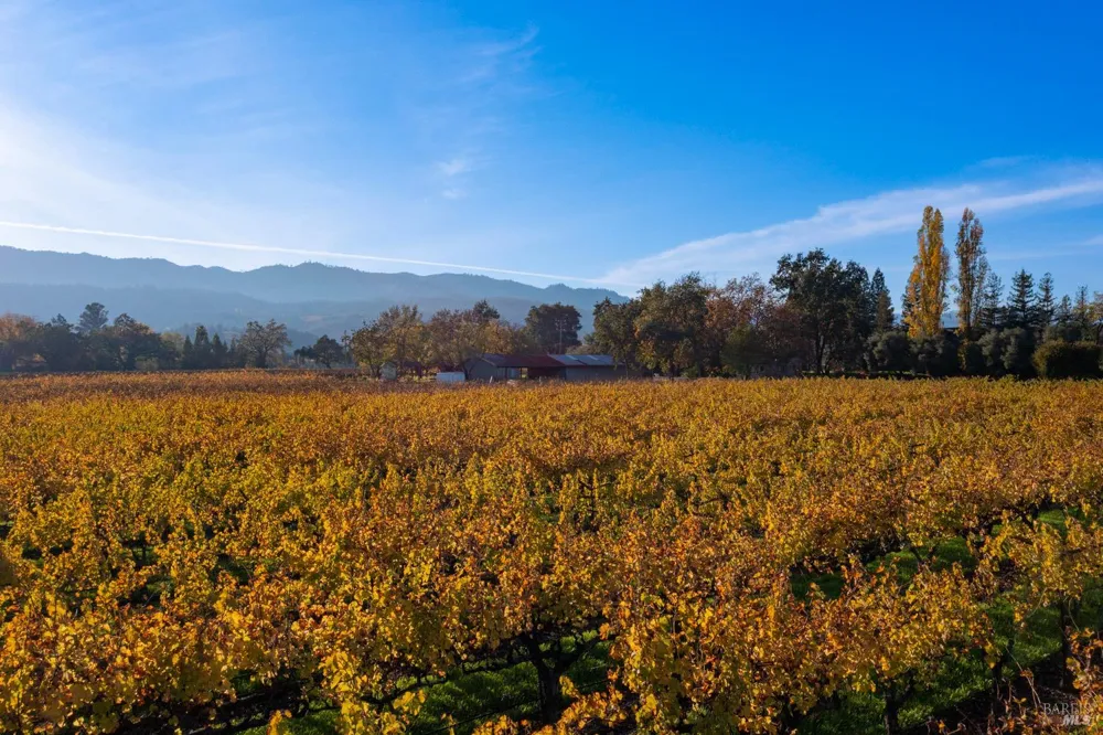 1135 Galleron Road St. Helena, CA 94574