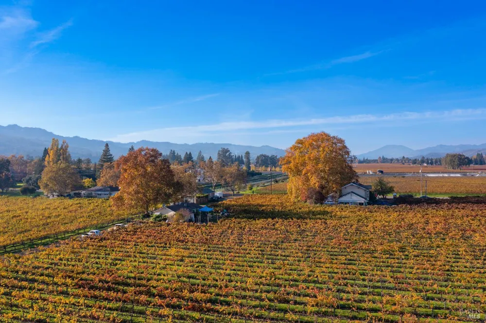 1135 Galleron Road St. Helena, CA 94574