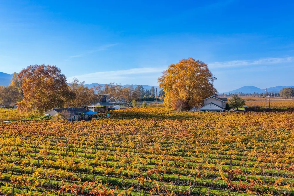 1135 Galleron Road St. Helena, CA 94574