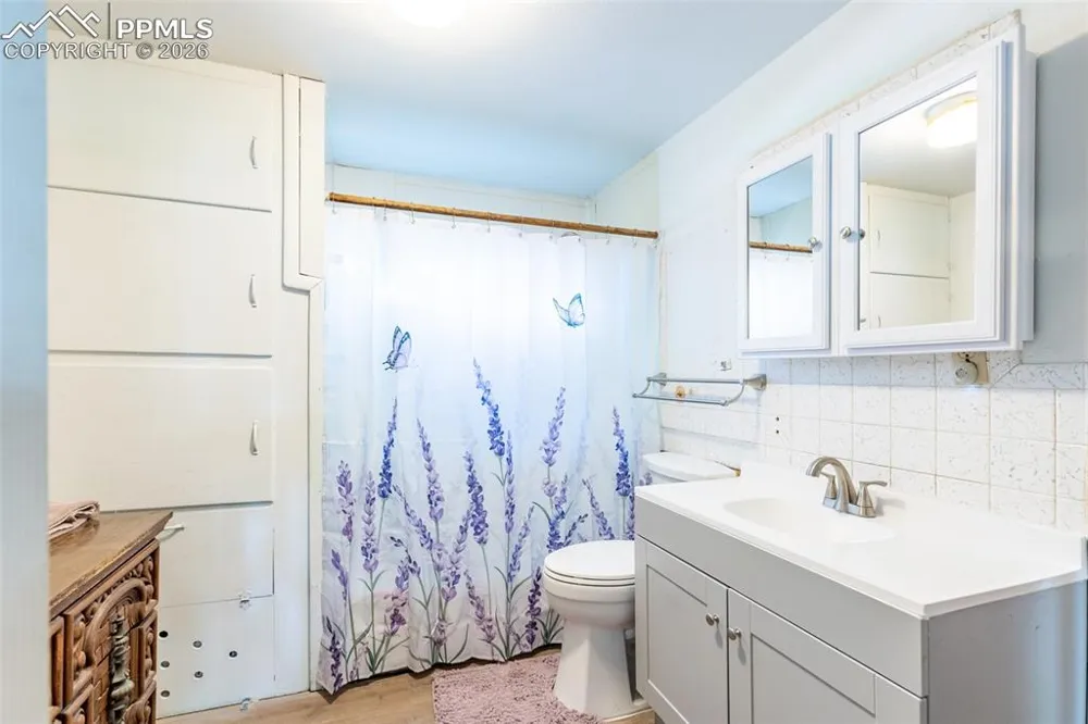 213 Colorado Avenue Buena Vista, CO 81211