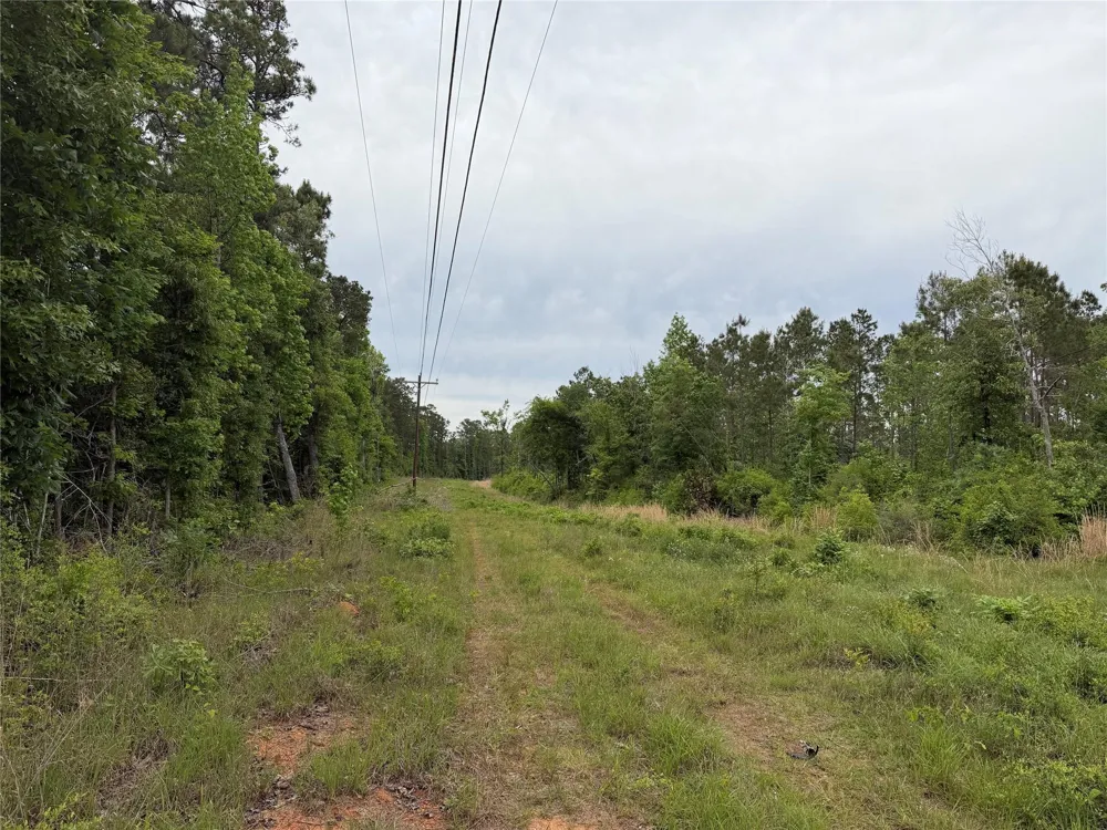 Fm 1005 Jasper, TX 75951