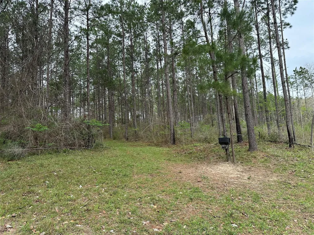 Fm 1005 Jasper, TX 75951