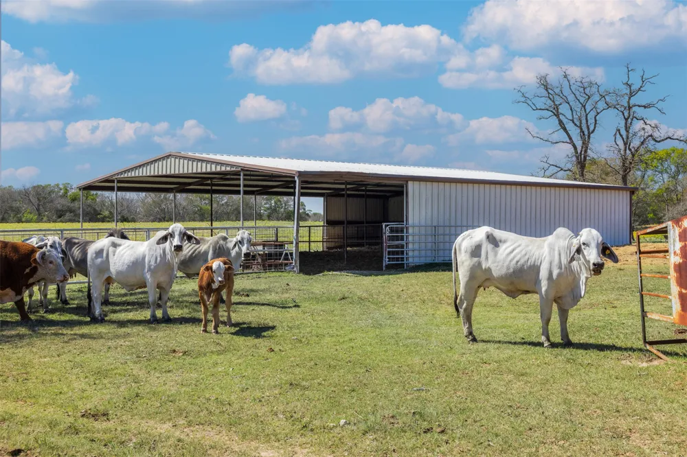 1580 County Road 377 Caldwell, TX 77836