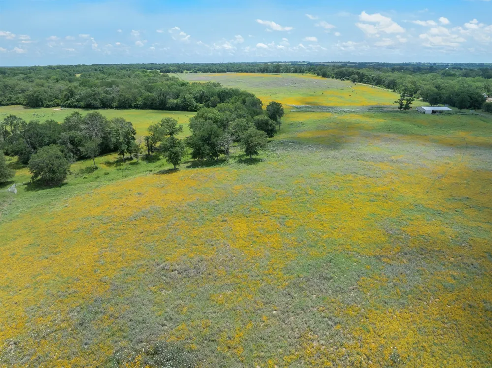 1580 County Road 377 Caldwell, TX 77836
