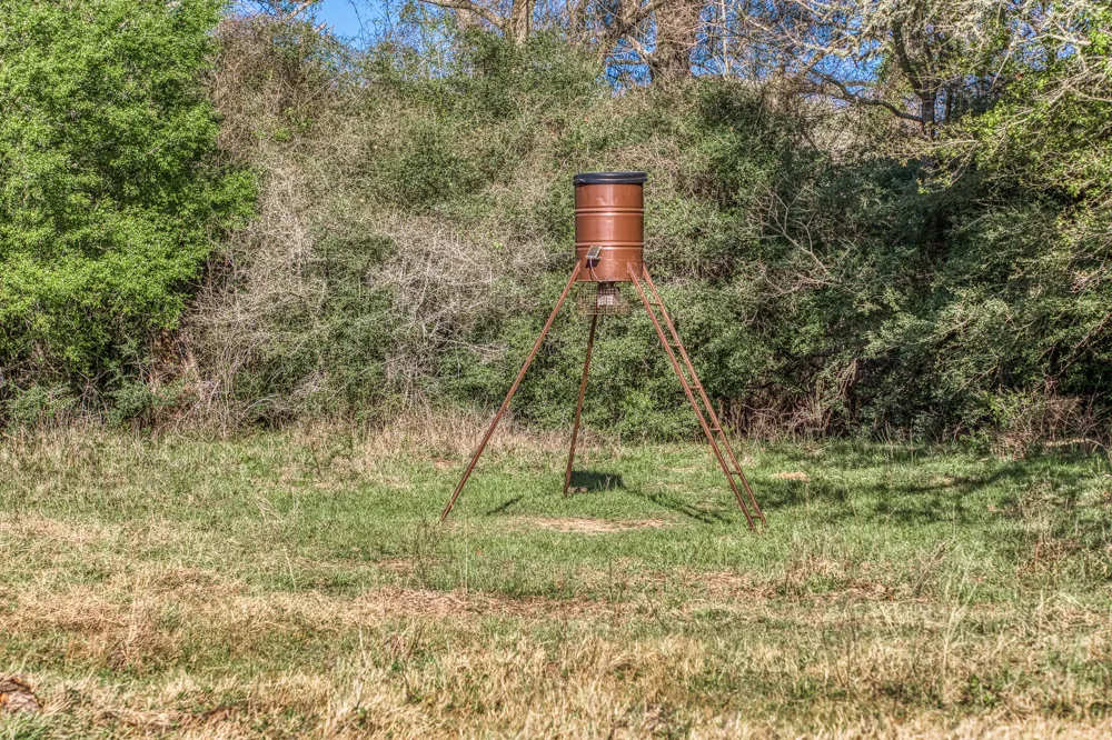 1580 County Road 377 Caldwell, TX 77836