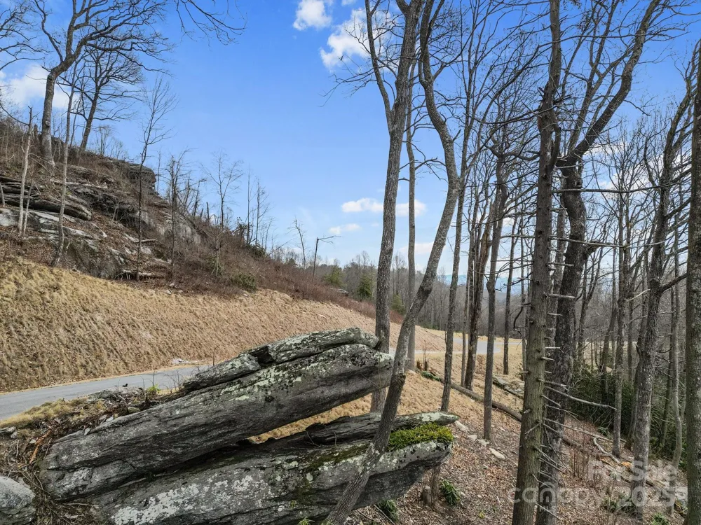 Lot 65 Featherstone Drive #65 Fletcher, NC 28732