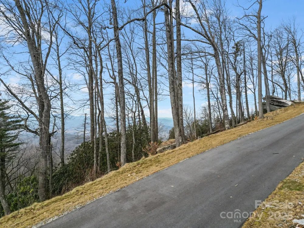 Lot 65 Featherstone Drive #65 Fletcher, NC 28732