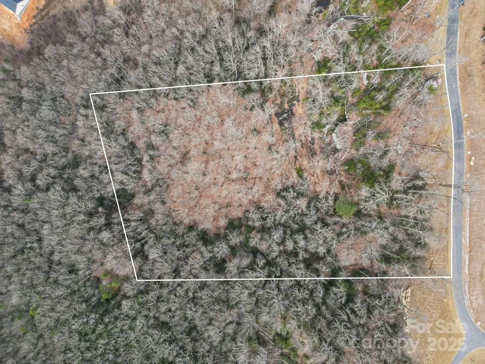 Lot 65 Featherstone Drive #65 Fletcher, NC 28732