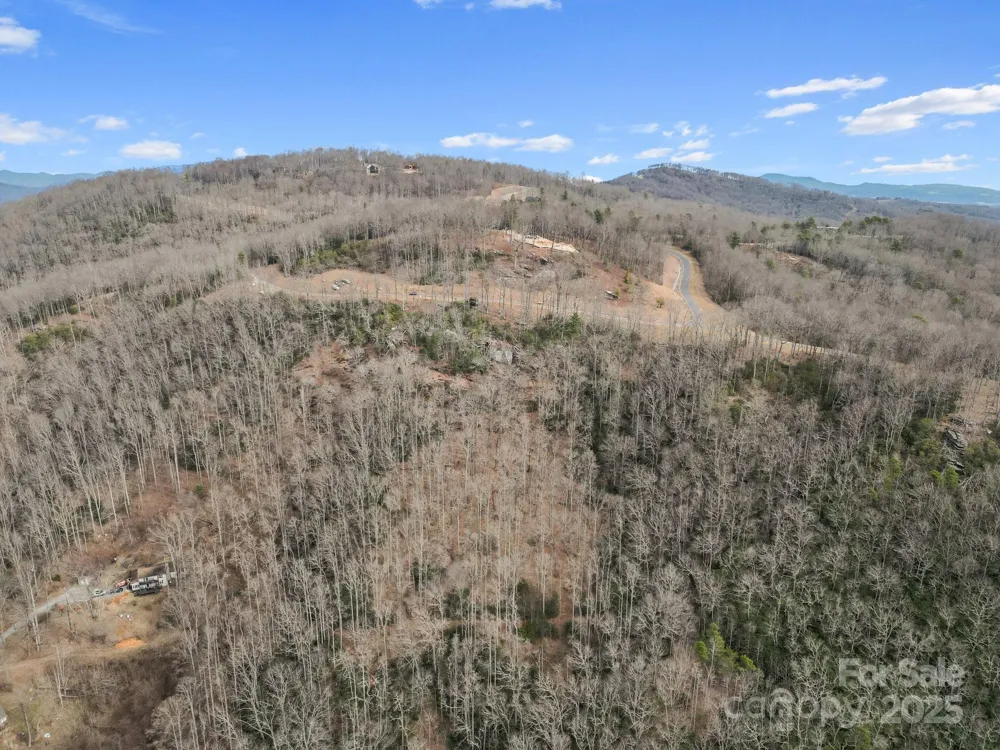 Lot 65 Featherstone Drive #65 Fletcher, NC 28732