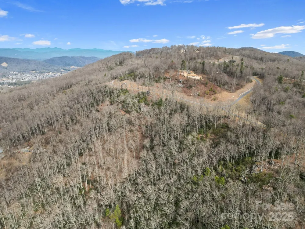 Lot 65 Featherstone Drive #65 Fletcher, NC 28732