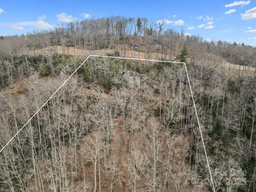 Lot 65 Featherstone Drive #65 Fletcher, NC 28732