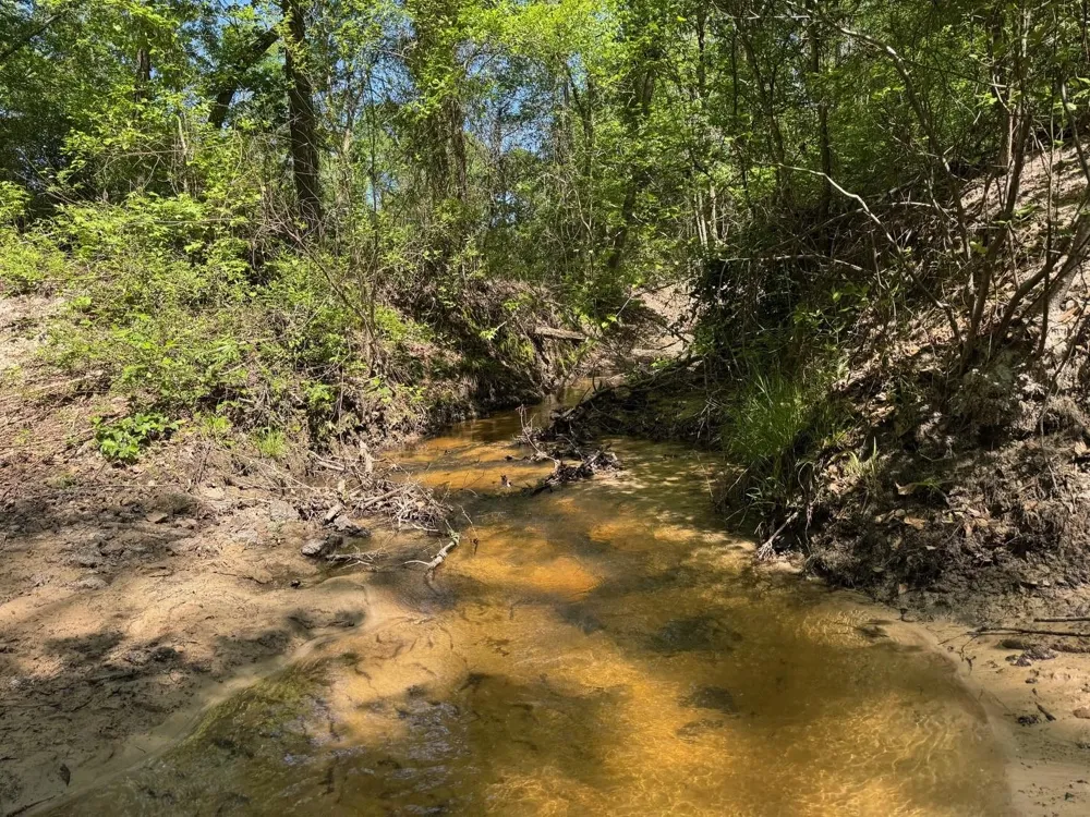 2954 Cr 2170 Grapeland, TX 75844