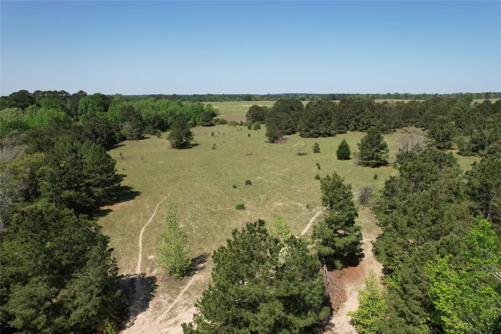 2954 Cr 2170 Grapeland, TX 75844