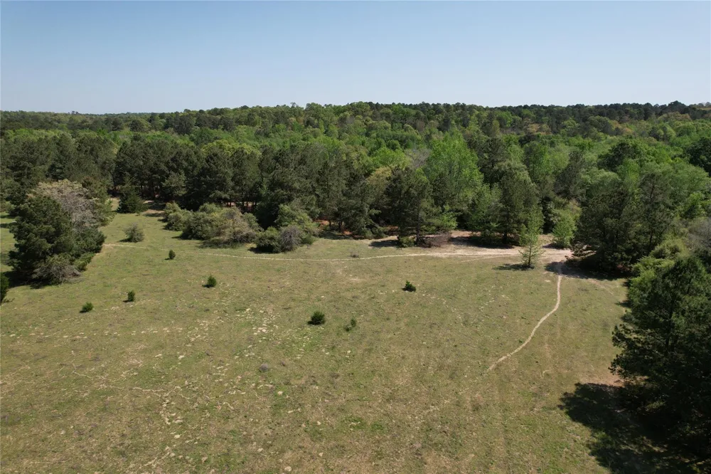 2954 Cr 2170 Grapeland, TX 75844
