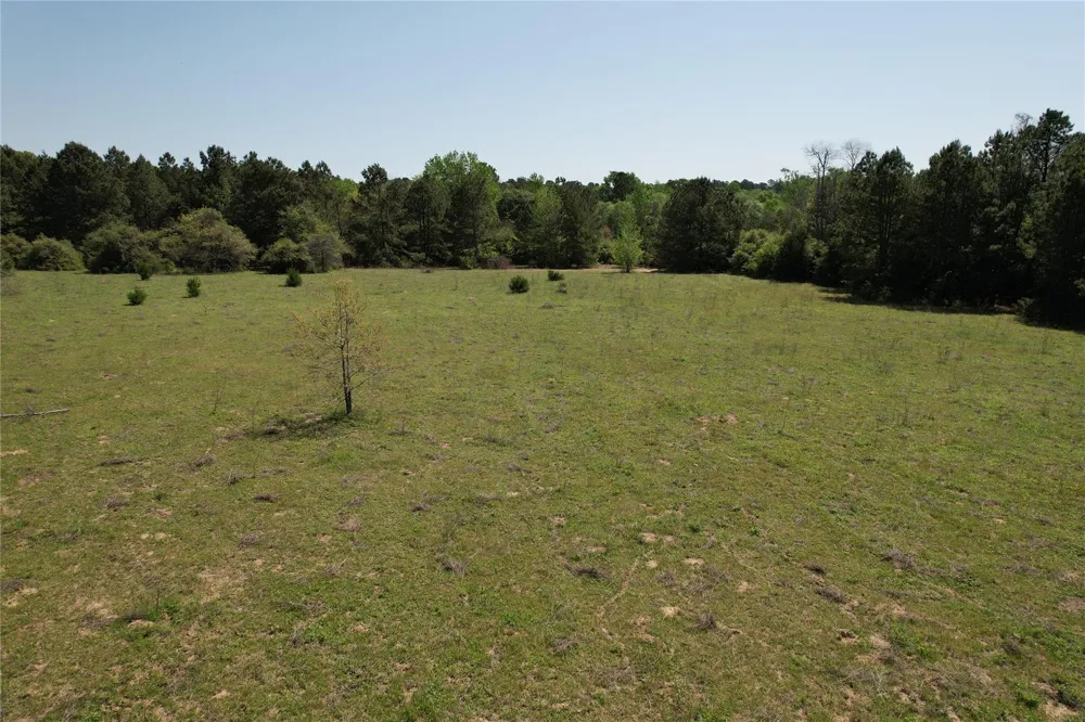 2954 Cr 2170 Grapeland, TX 75844