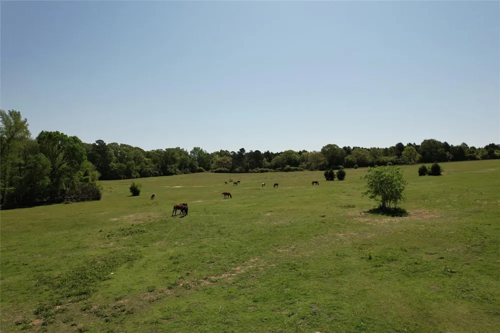 2954 Cr 2170 Grapeland, TX 75844