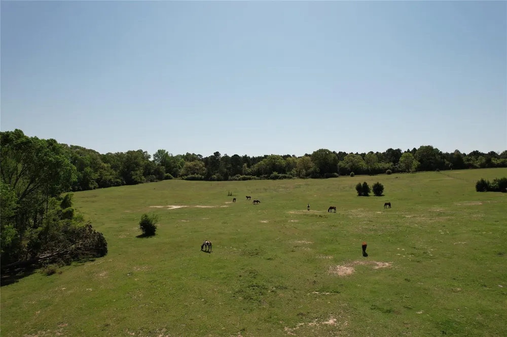2954 Cr 2170 Grapeland, TX 75844