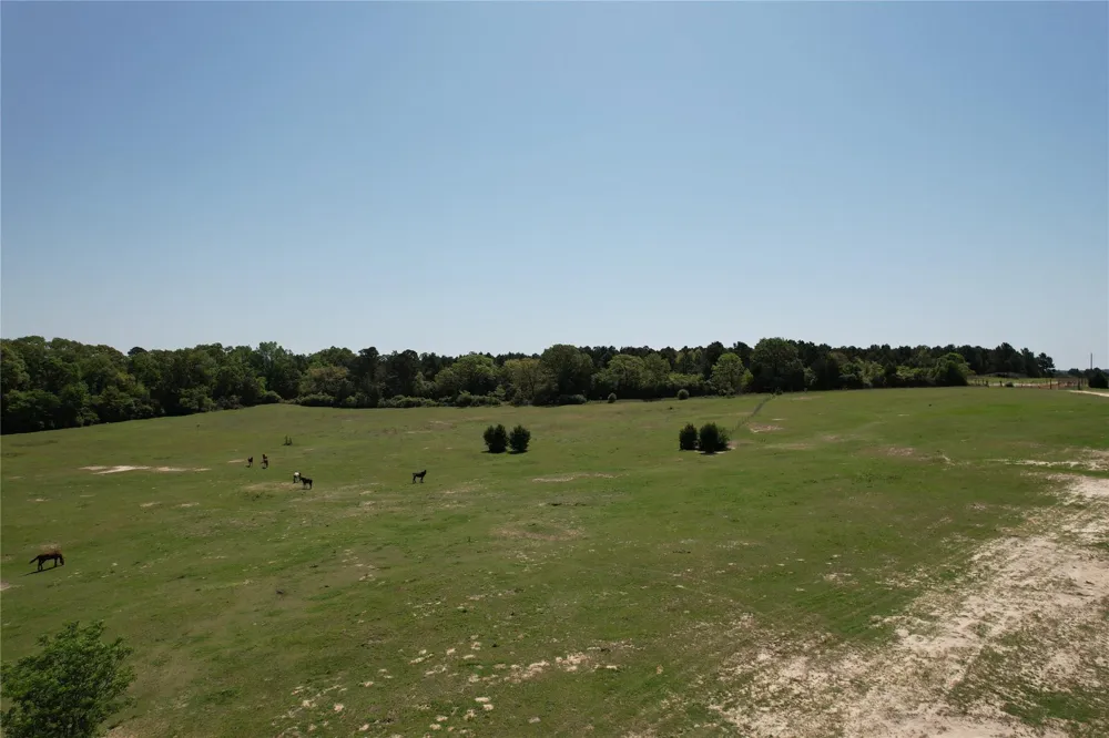2954 Cr 2170 Grapeland, TX 75844