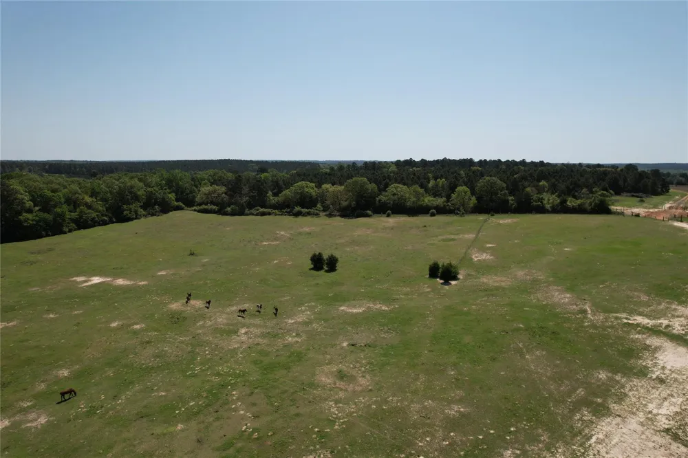 2954 Cr 2170 Grapeland, TX 75844