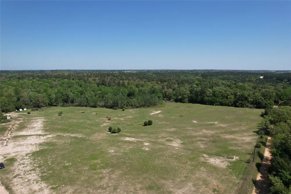 2954 Cr 2170 Grapeland, TX 75844