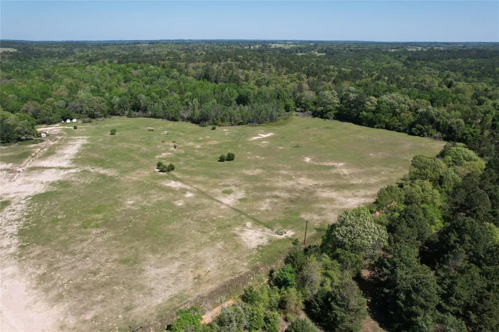 2954 Cr 2170 Grapeland, TX 75844