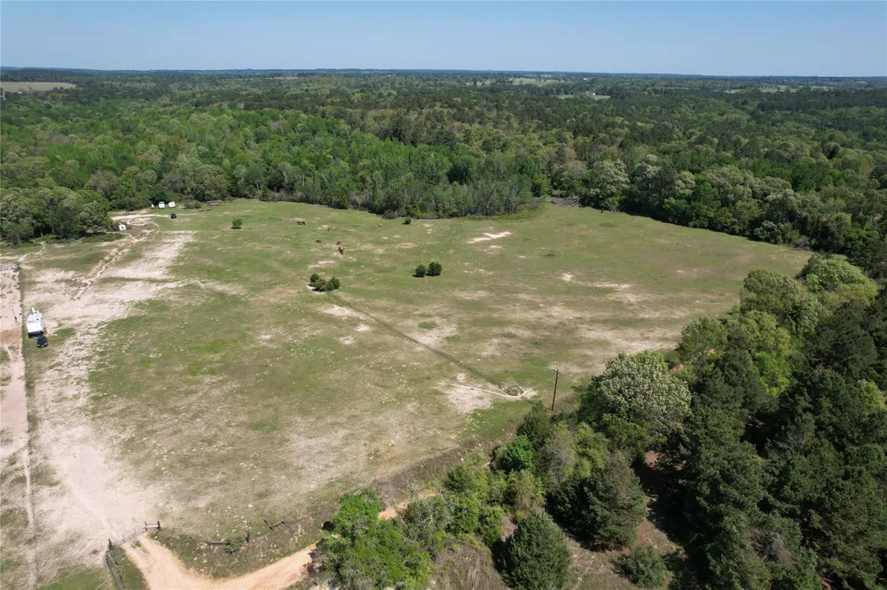 2954 Cr 2170 Grapeland, TX 75844