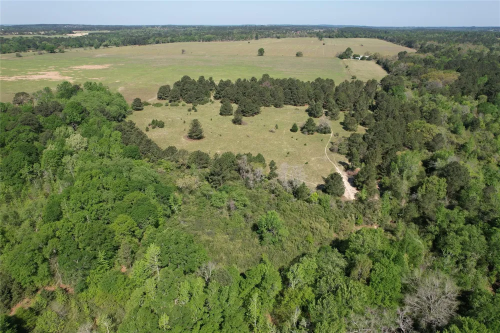 2954 Cr 2170 Grapeland, TX 75844
