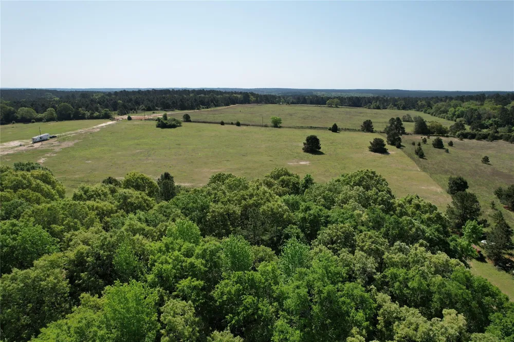2954 Cr 2170 Grapeland, TX 75844