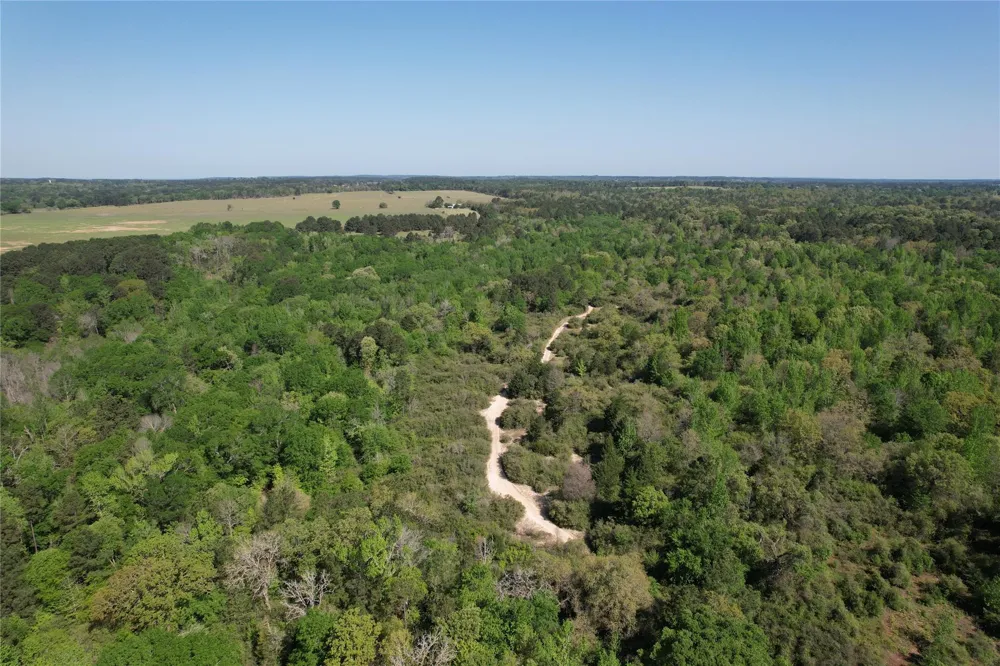 2954 Cr 2170 Grapeland, TX 75844
