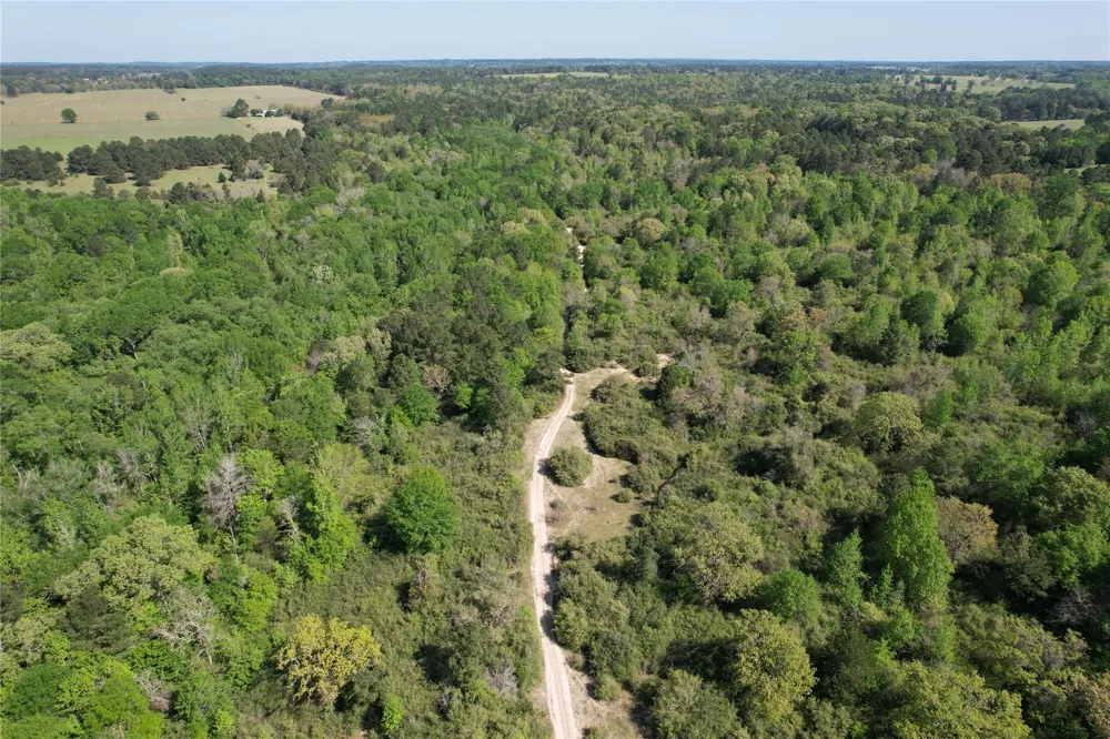 2954 Cr 2170 Grapeland, TX 75844