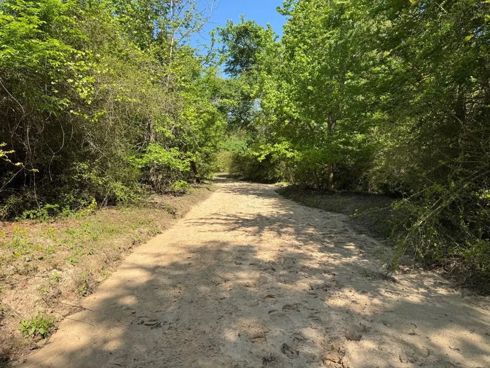 2954 Cr 2170 Grapeland, TX 75844