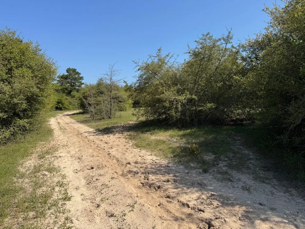2954 Cr 2170 Grapeland, TX 75844